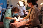 Jamaica Dental Team Jamaica Dental Team