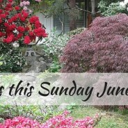 Joint Worship Service