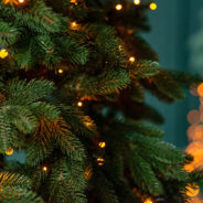 Thanksgiving and Giving Tree Ministries 2023