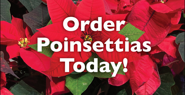 Poinsettias on the Altar 2025