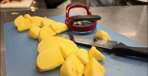 Thanksgiving Meals 2025!