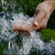 Fifth Sunday in Lent