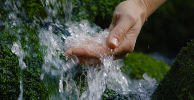 Fifth Sunday in Lent