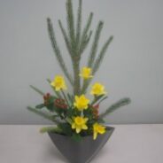 January 26  Celebration Sunday